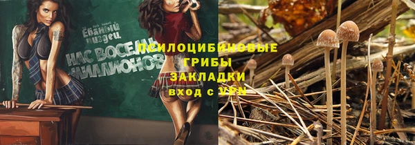 спайс Верея