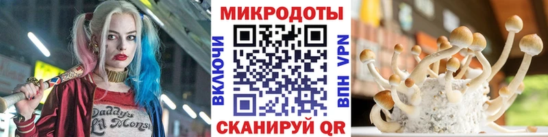 Псилоцибиновые грибы мухоморы  Северобайкальск 